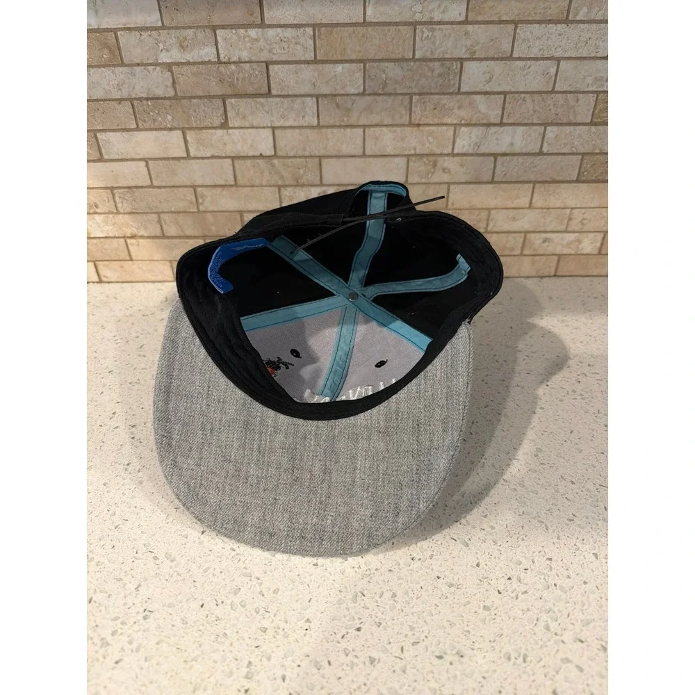 Frozen I Love all Things Warm flatbilled Disney cap hat adjustable snapback